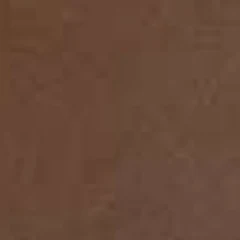Vinil W. Camel — Camhide 50