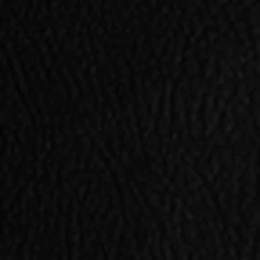 Vinil Black · Denali — Denali