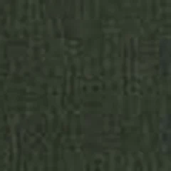 Vinil Olive · Linen — Linen