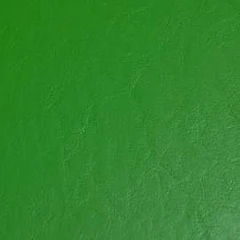 Vinil Wallaby Verde Limón — Soft 40