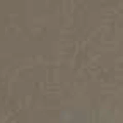 Vinil W. Beige — Camhide 50