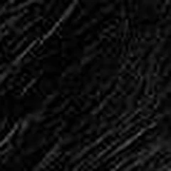 Vinil L. Licorice — Camhide 50